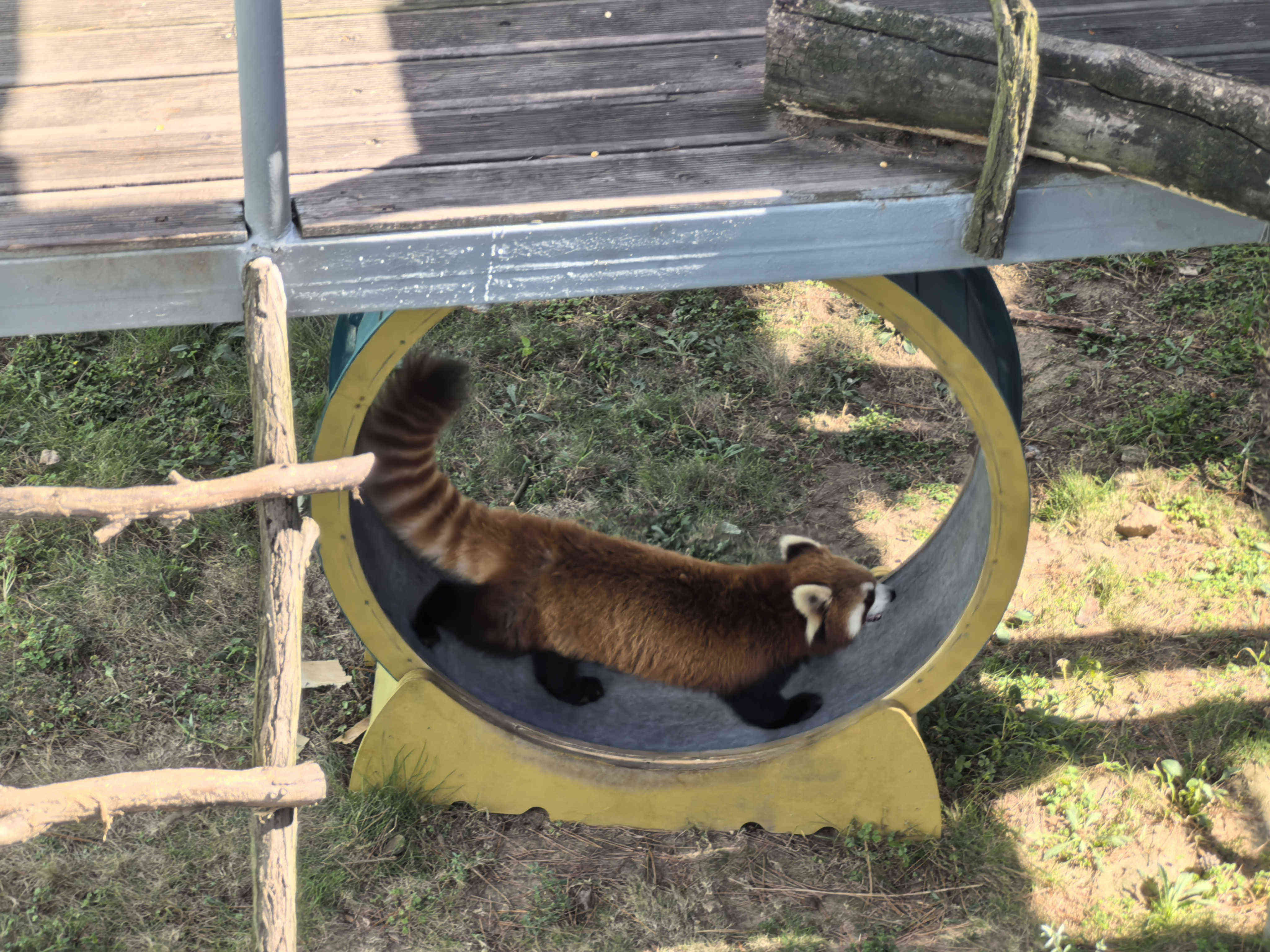 AGGAME��(�й���)���Źٷ���վ